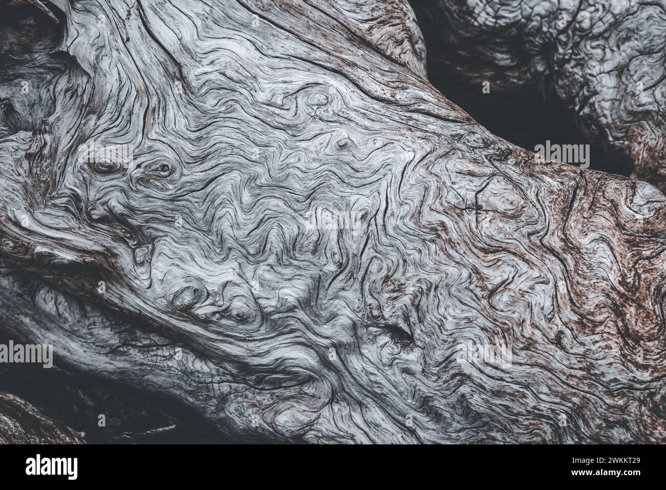 Swirling textures hi-res stock photography and images - Alamy