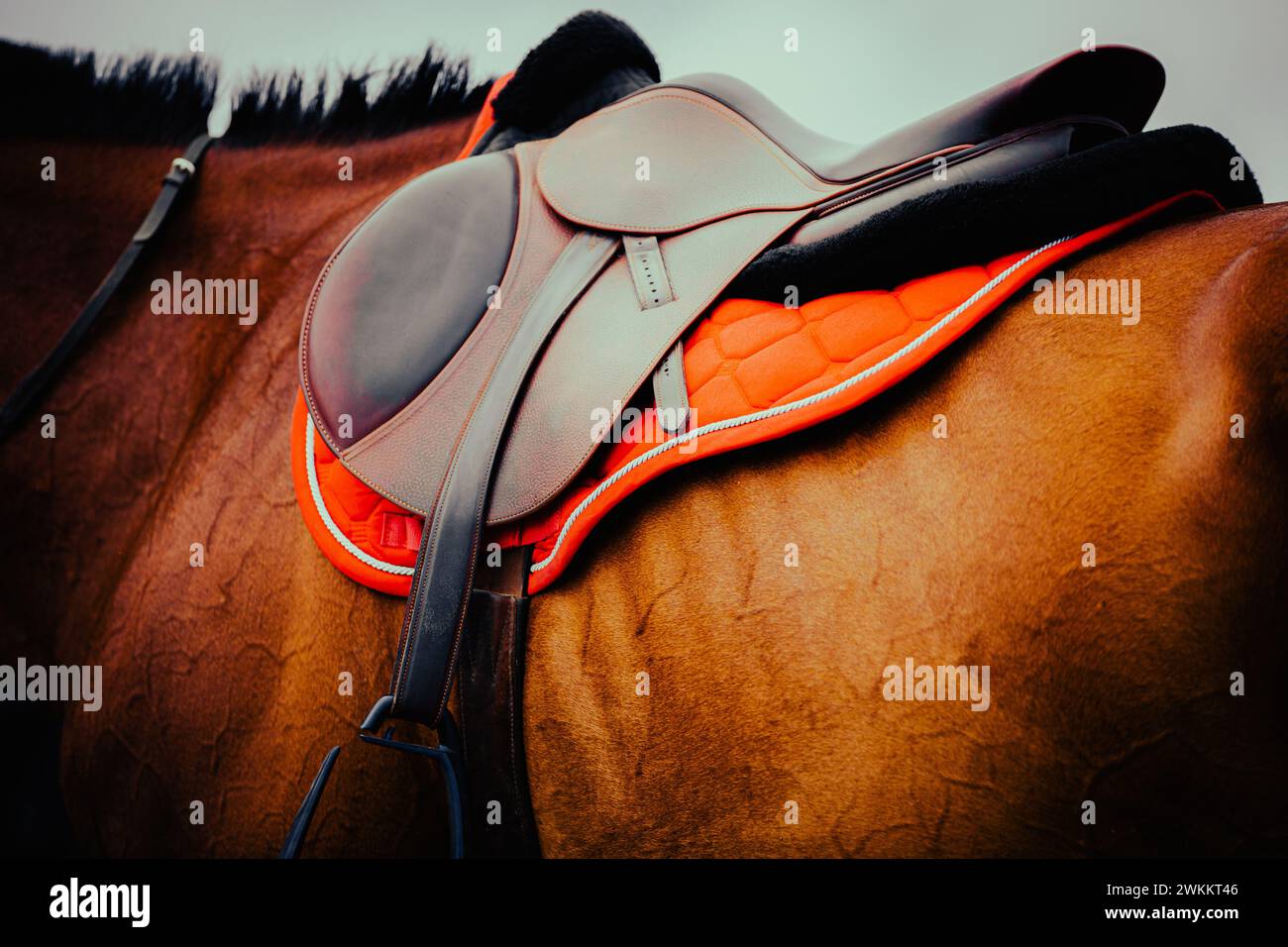 The bay horse is wearing a leather saddle and a red saddle cloth