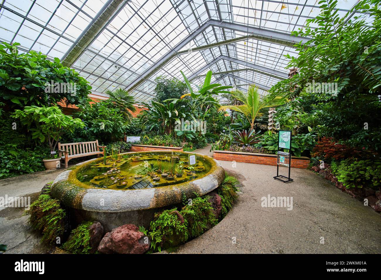 Tropical Greenhouse Oasis with Water Lilies and Bench Stock Photo - Alamy