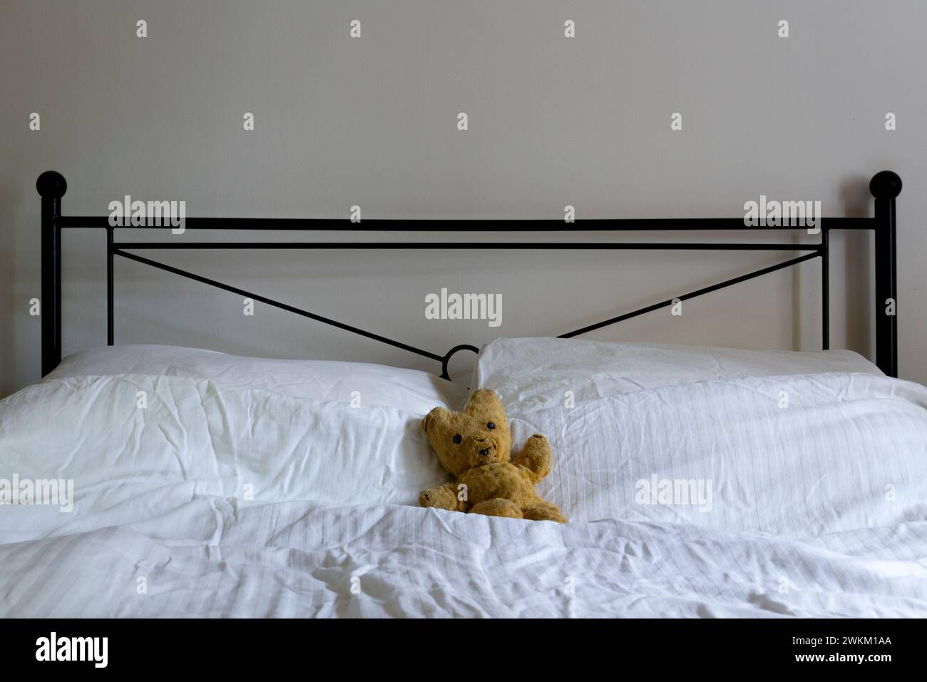 A horizontal orientated image of an old teddy bear lying between two