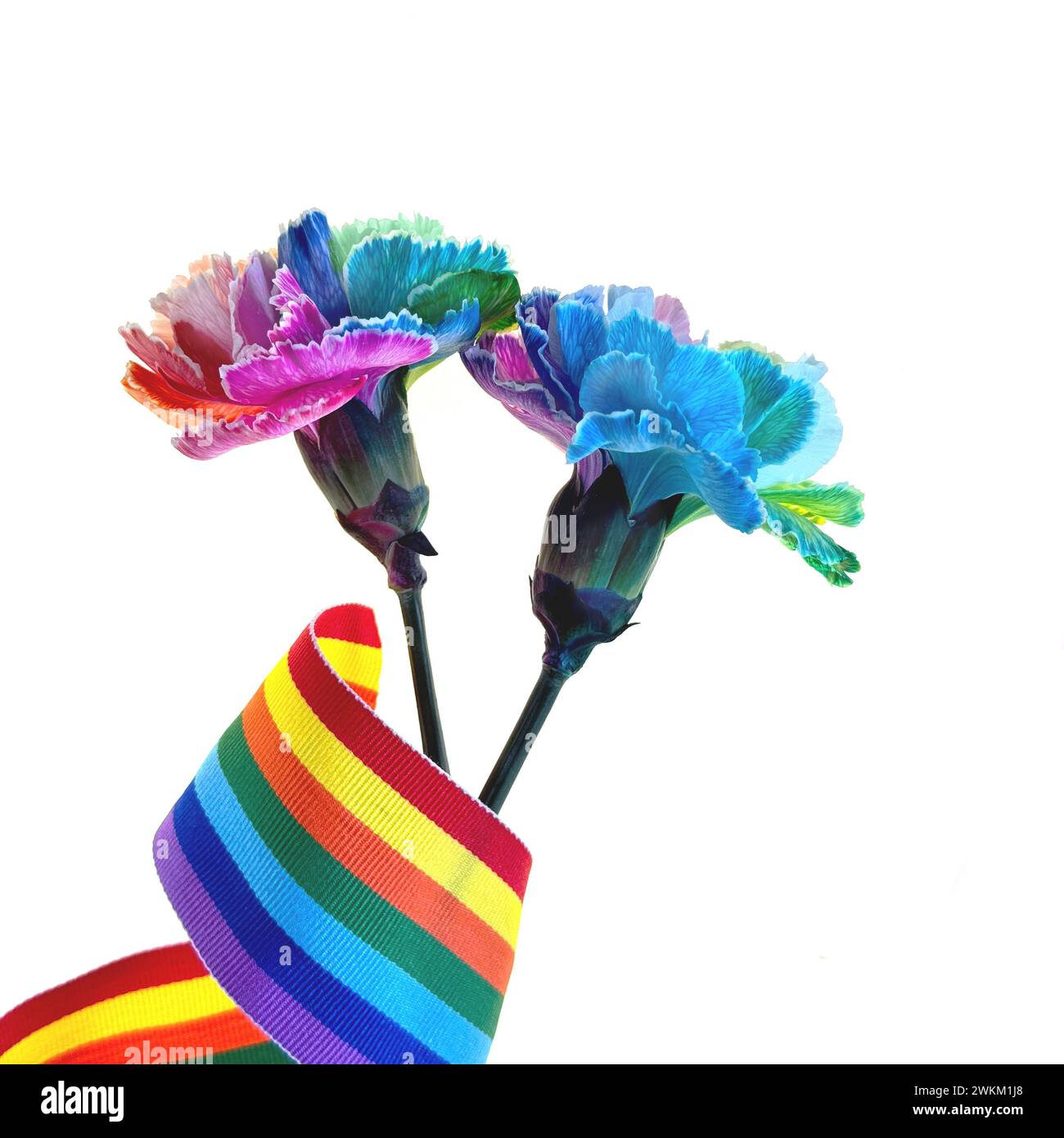 Two vibrant, multi-colored carnations with rainbow ribbon and the word