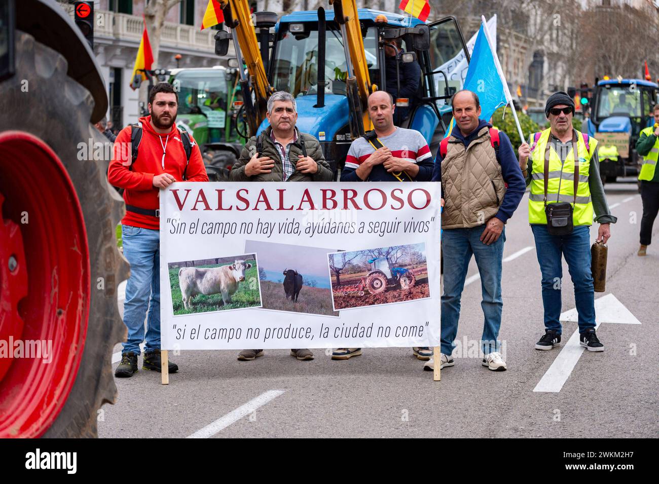 Spanish farmer demonstration in Madrid A group of protesters with a protester sign seen during the farmers demonstration in Madrid the protest, organized by Spanish trade unions, is focused on concerns over unfair competition from products originating outside the EU. Farmers are also unhappy about the meager profits derived from their crops and are critical of EU agricultural policy. Madrid Puerta de Alcala Madrid Spain Copyright: xAlbertoxGardinx AGardin 20240221 manifestacion tractores madrid 172 Stock Photo