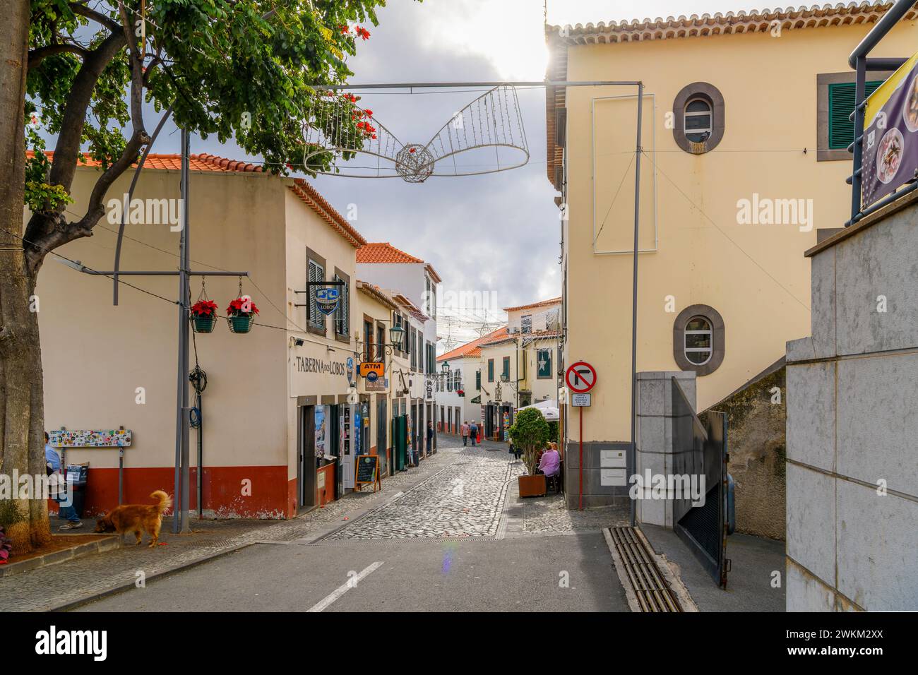 The famous Rua de Santa Maria narrow street of cafes, colorful doors and shops in the historic medieval old town of Funchal, Madeira Portugal. Stock Photo