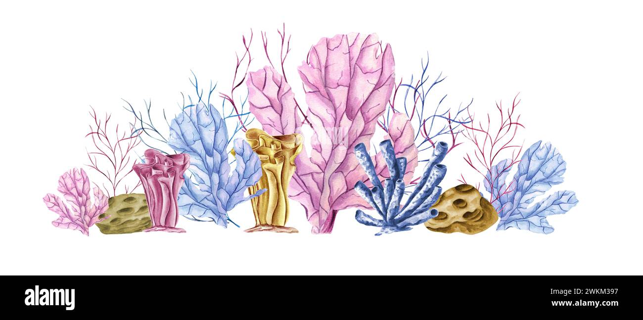 Coral forest. Pink, blue, yellow Polyps. Set of corals of various types and shapes. Lagoon underwater world. Marine fauna. Watercolor illustration. Stock Photo