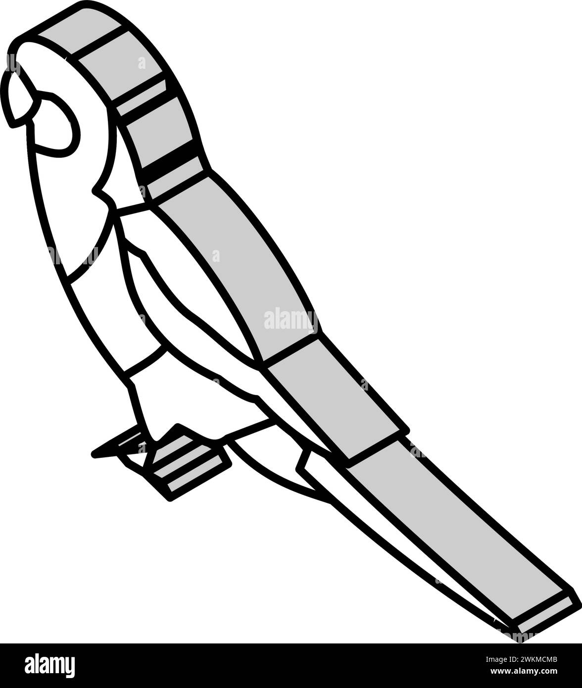 eastern rosella parrot bird isometric icon vector illustration Stock Vector