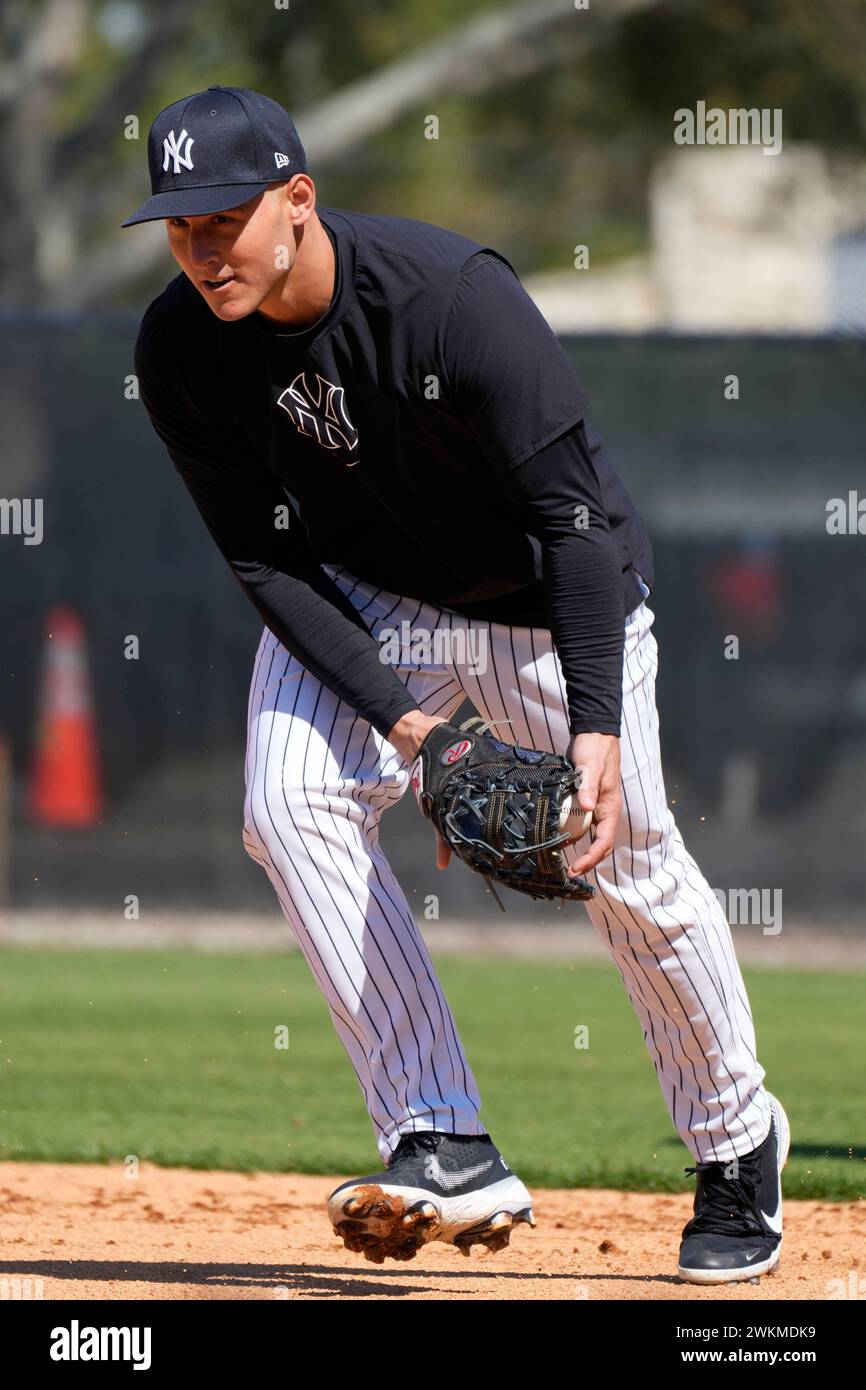 New York Yankees first baseman Anthony Rizzo fields a ground ball ...