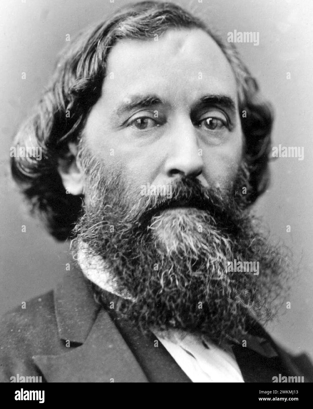 BARTOLOMÉ MITRE (1821-1906)  Argentinian politician  and sometime  President of Argentina Stock Photo