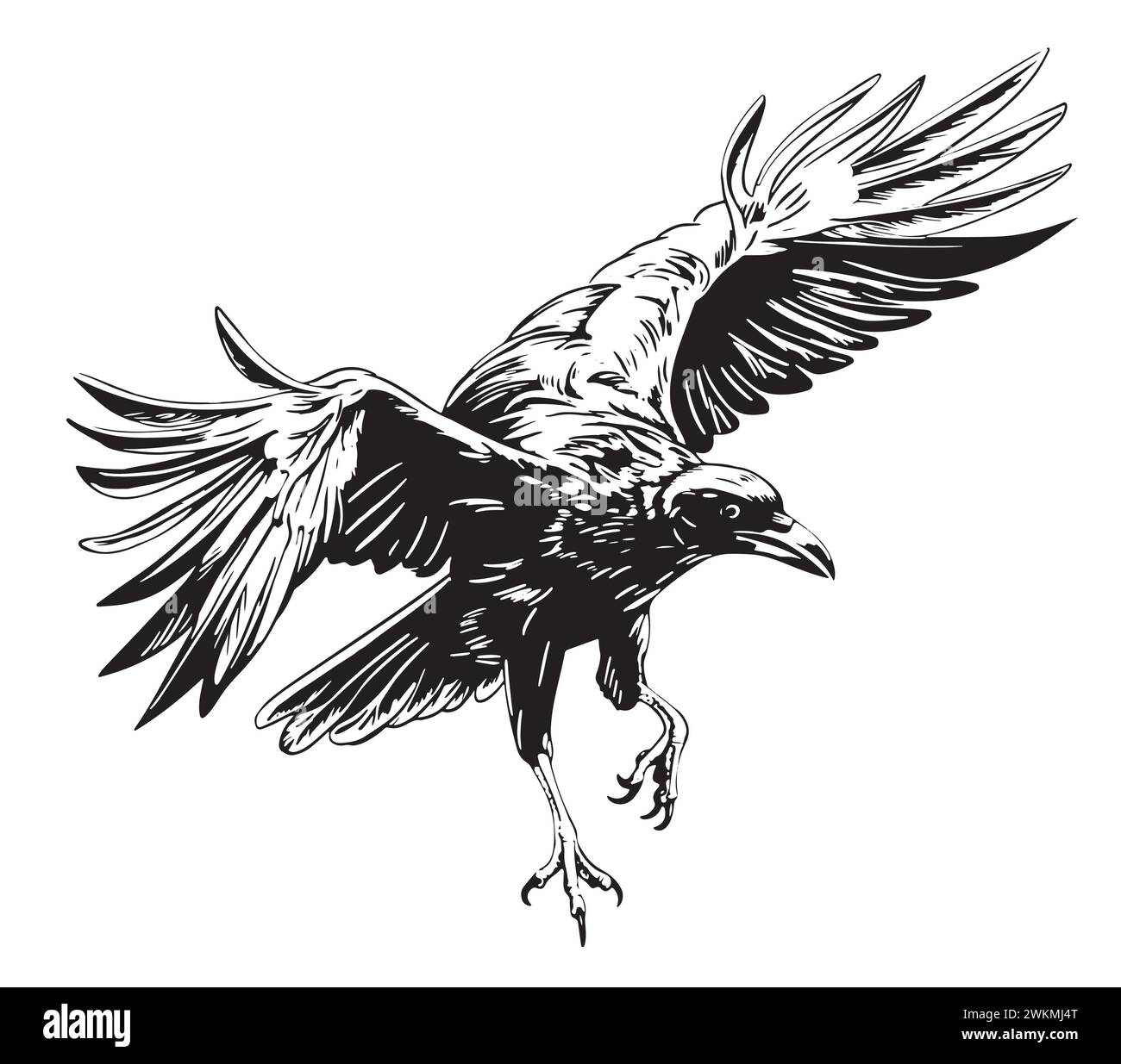 Head of raven. Crow abstract character illustration. Graphic logo