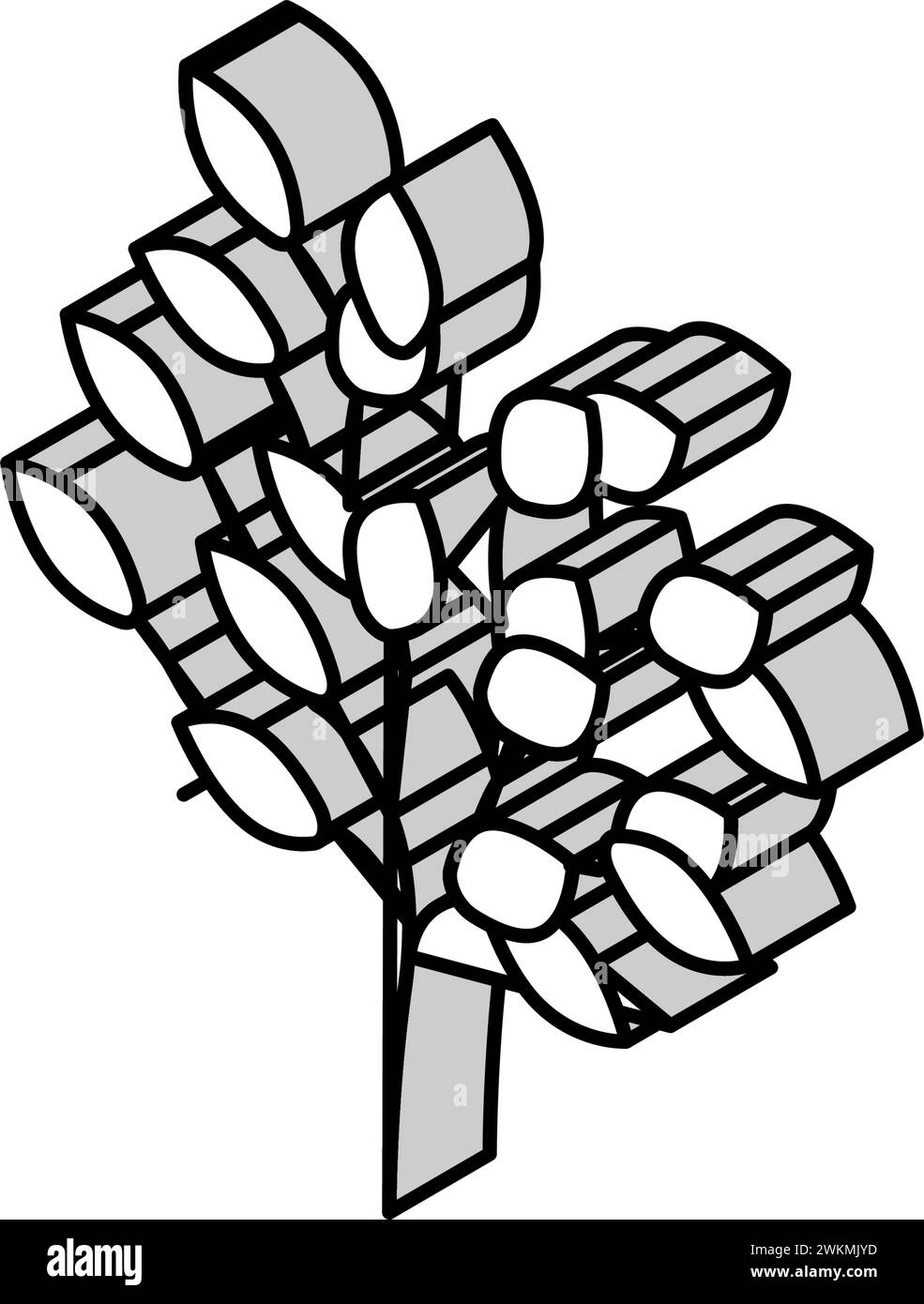 sakaki tree branch shintoism isometric icon vector illustration Stock Vector