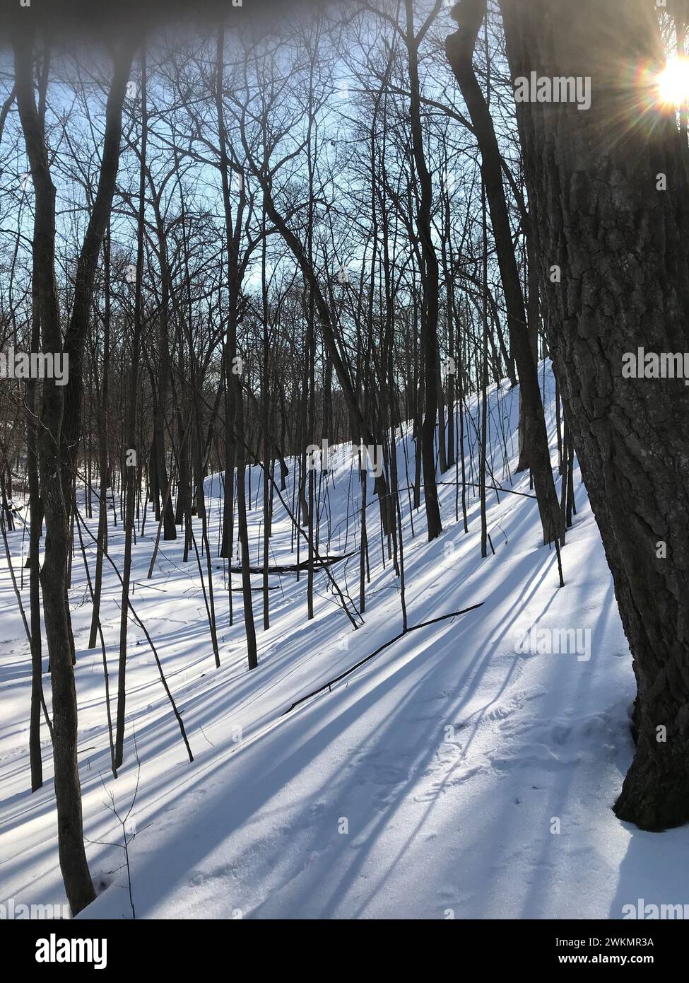 Creates dramatic shadows hi-res stock photography and images - Alamy