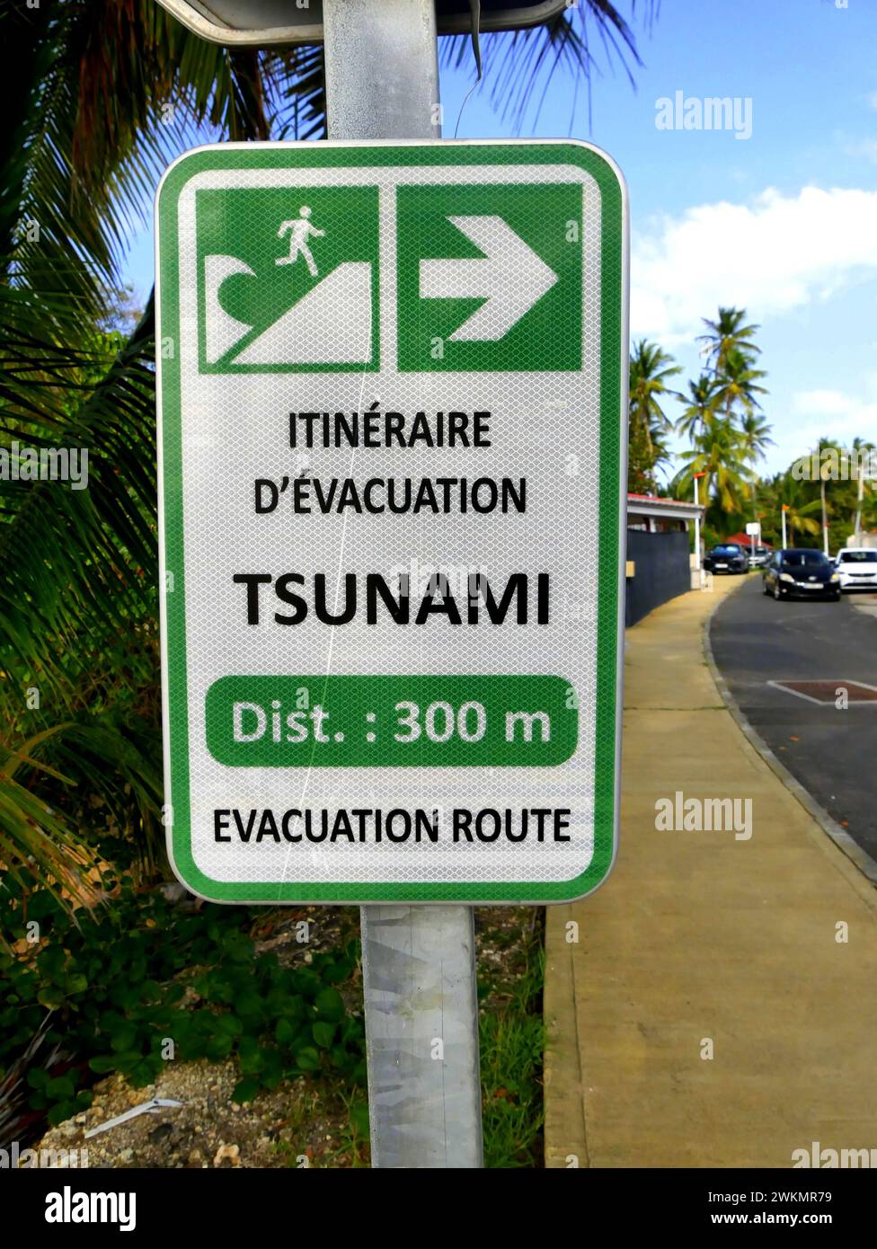 Tsunami alert bainbridge island