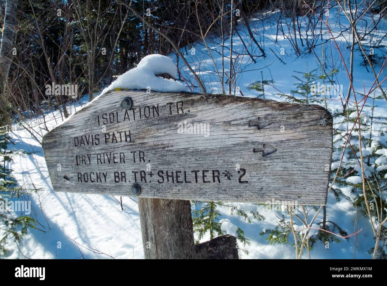 Trail sign at the junction of the Rocky Branch Trail and the Isolation