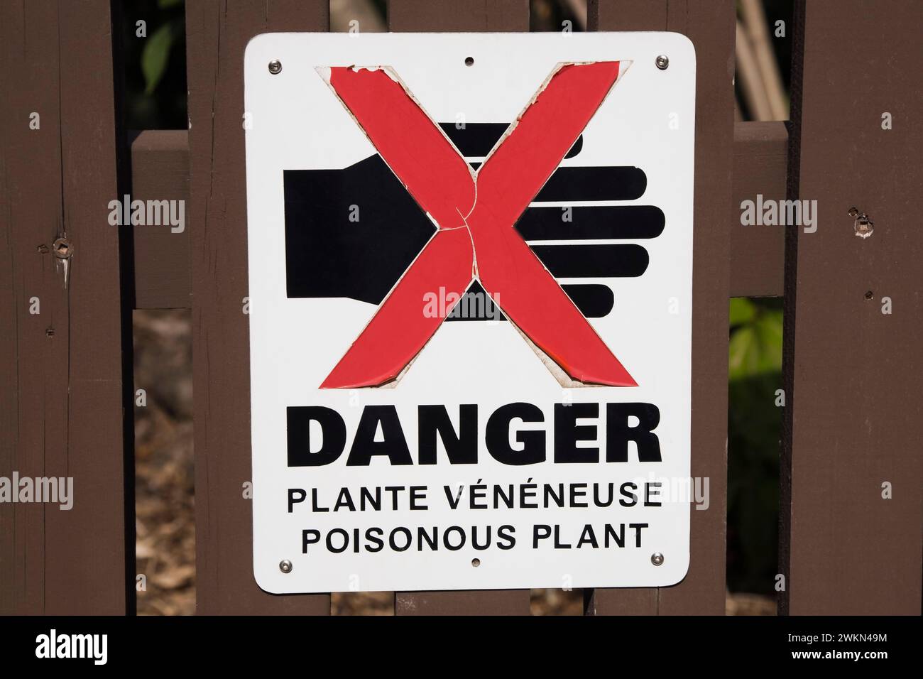 Close-up of posted red, black and white Danger Poisonous Plant pictogram sign in French and English languages in public garden, Montreal, Quebec, Cana Stock Photo