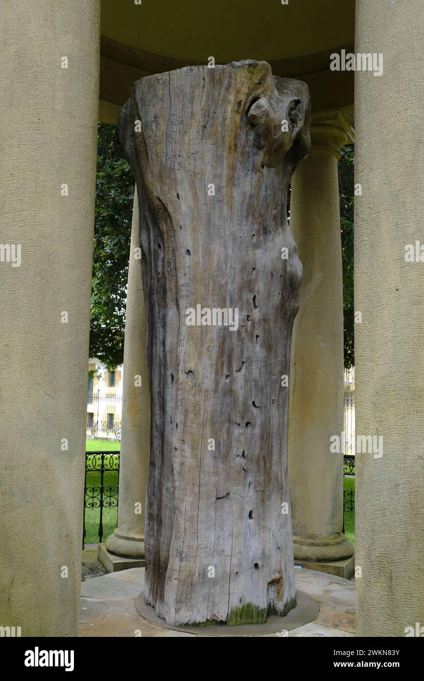 Tree Of Guernica in the Basque Country Stock Photo