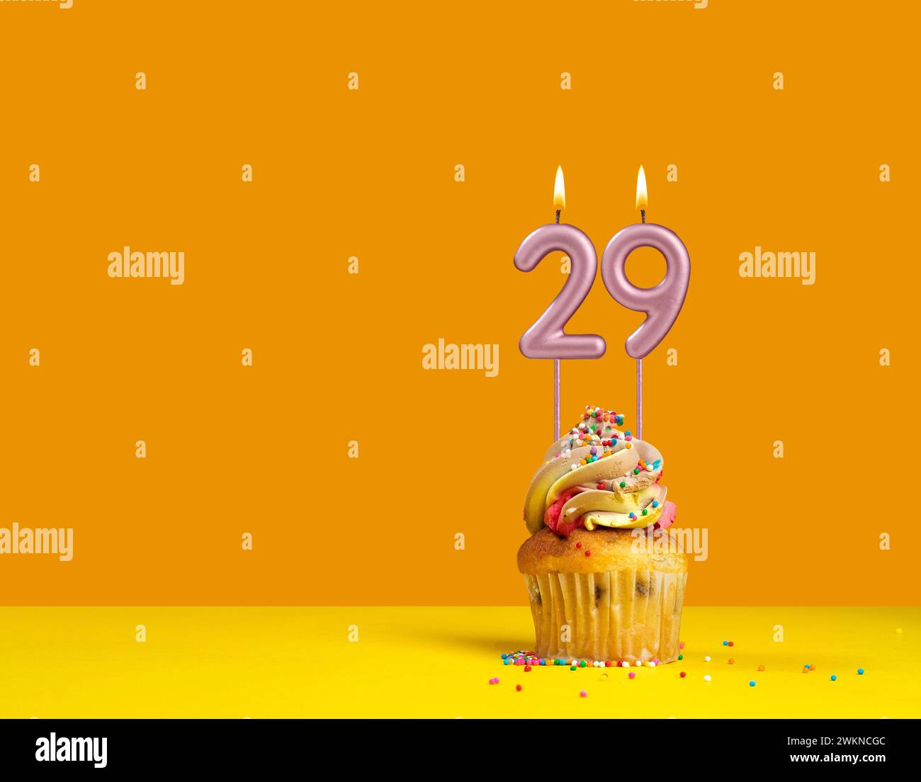 Birthday celebration with cupcake - Candle number 29 Stock Photo