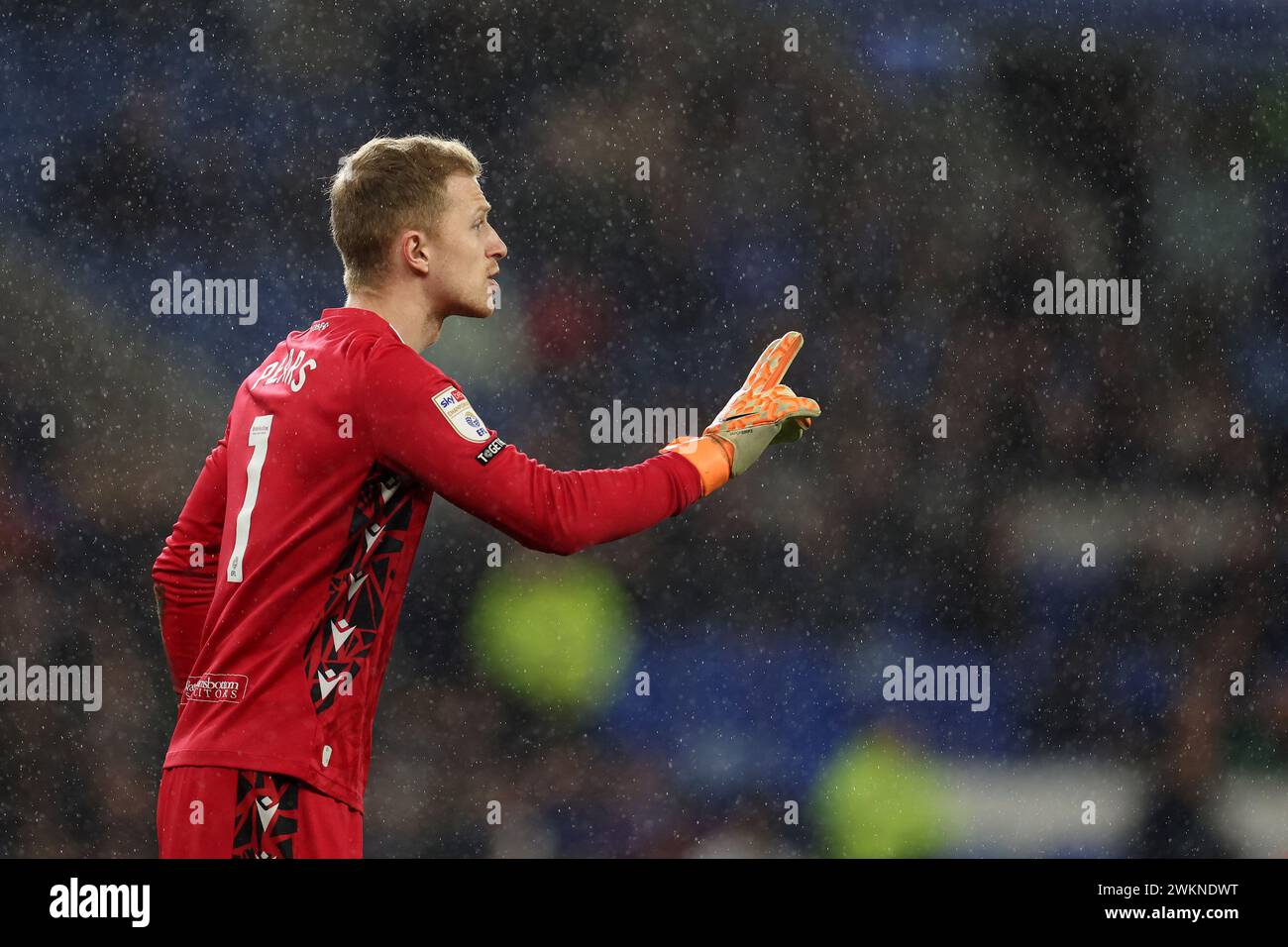 Prévisualização Cardiff City vs Blackburn Rovers Championship 1958