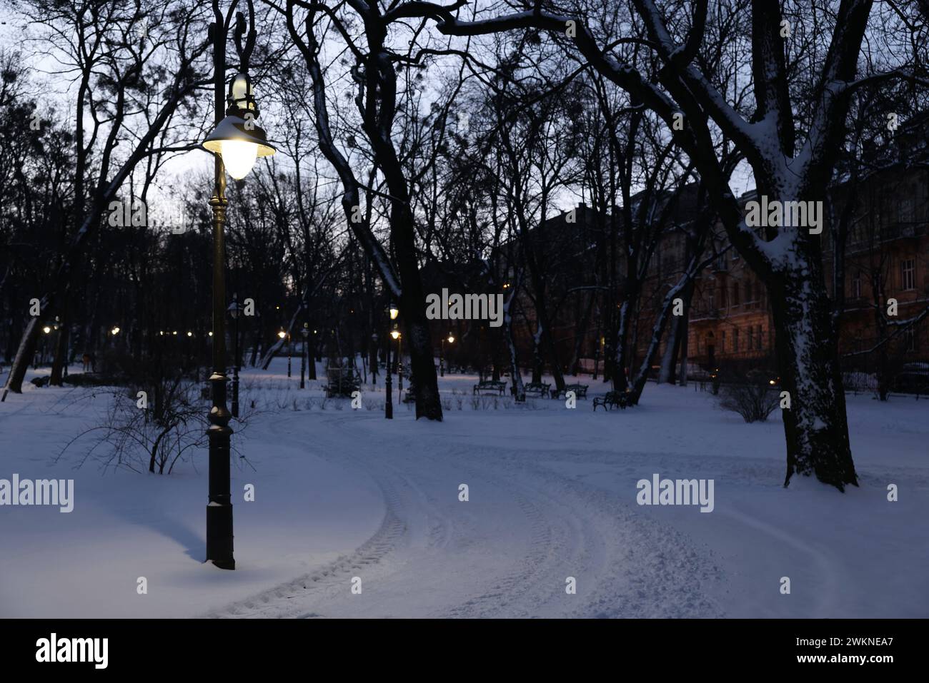 Trees, street lamps, buildings and pathway covered with snow in evening ...