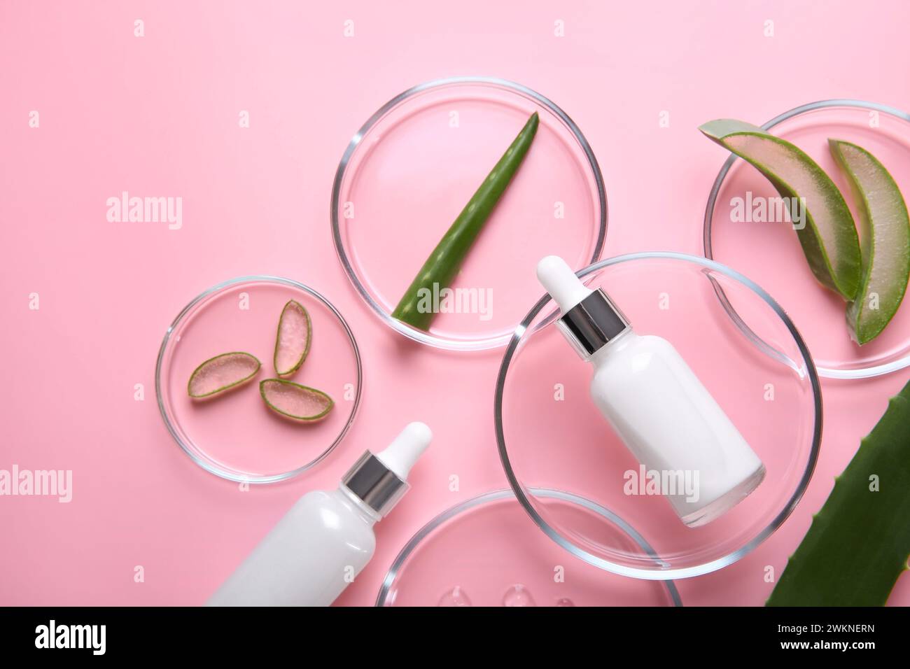 Flat lay composition with aloe vera leaves and cosmetic products on ...