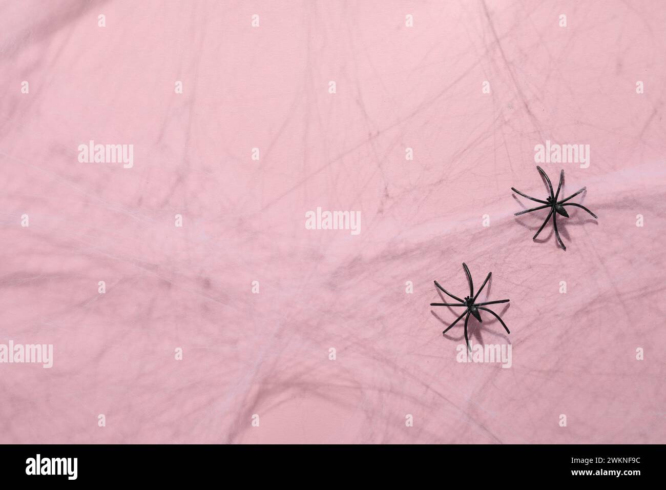Neglected spiders web hi-res stock photography and images - Alamy