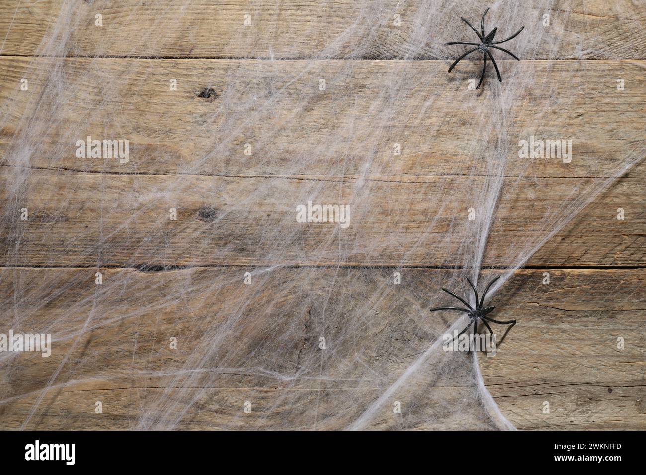 Neglected spiders web hi-res stock photography and images - Alamy