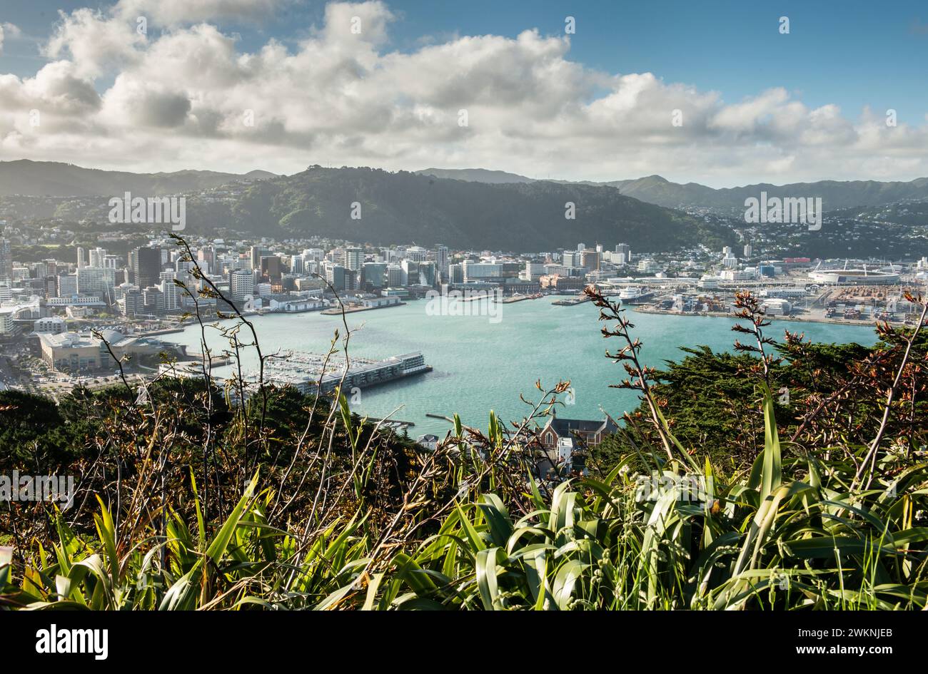 View to Wellington Harbour and city from Mount Victoria, New Zealand Stock Photo