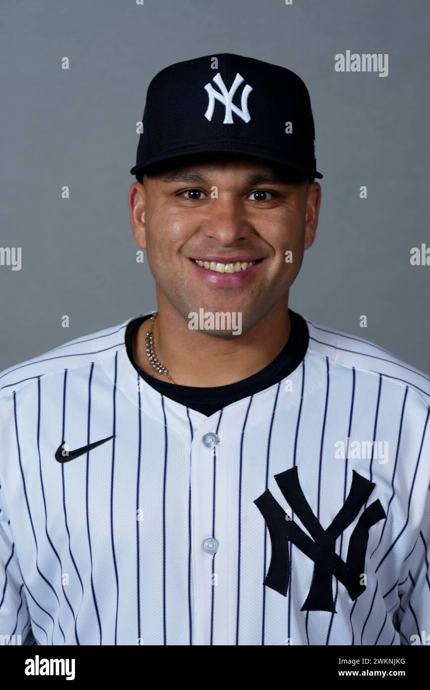 This is a 2024 photo of Jose Rojas of the New York Yankees baseball