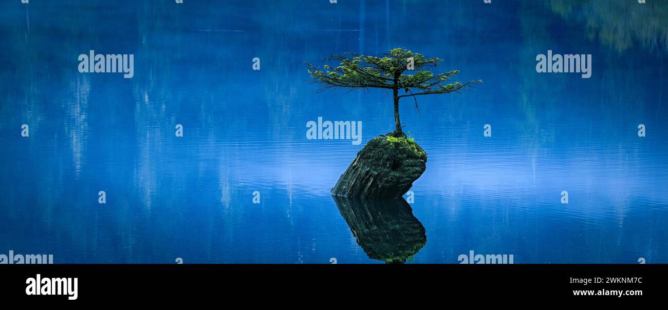 Teldon sent hires stock photography and images Alamy