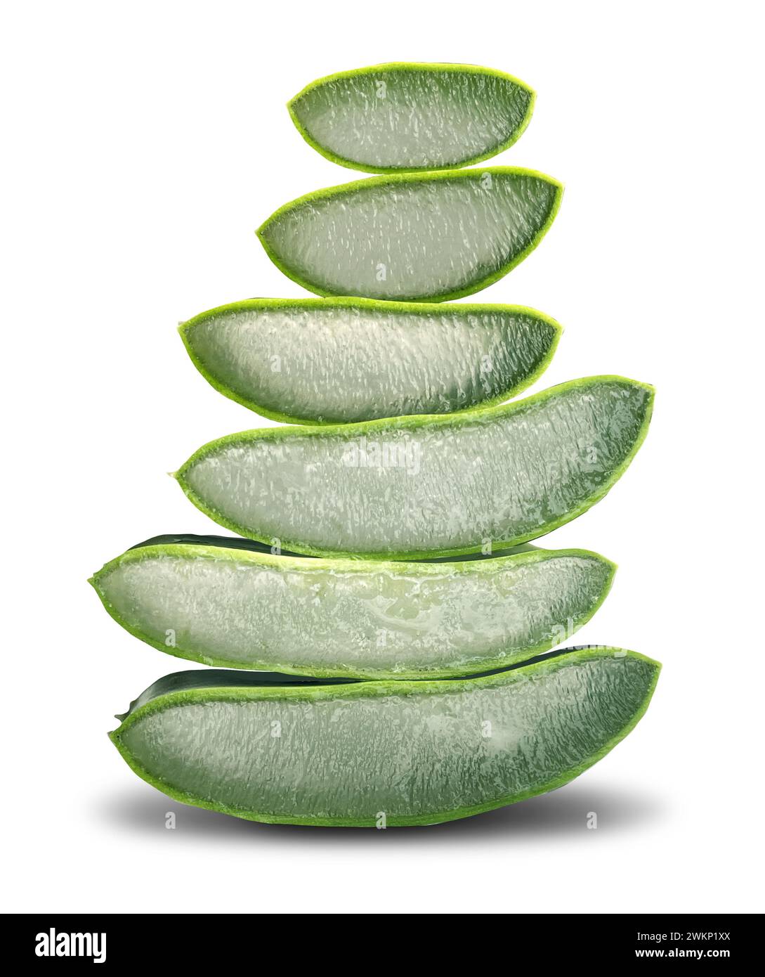 Cut Aloe Vera Gel Stack of leaves as a medicinal Succulent plant with Anti-inflammatory healing properties and as a herbal remedy detoxification also Stock Photo