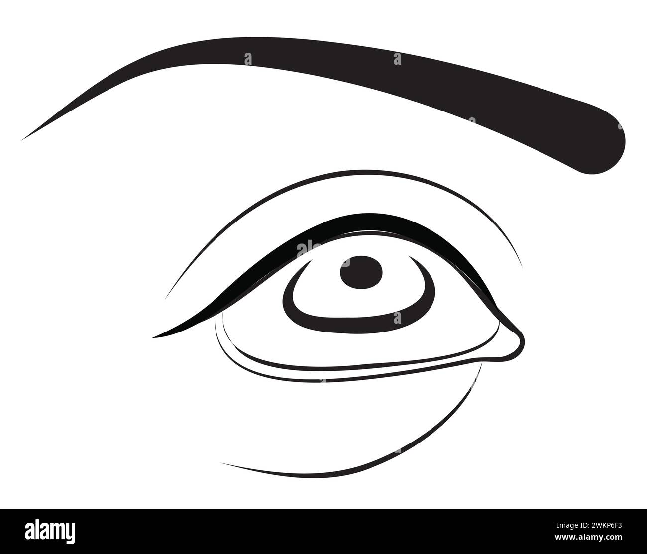 Human eye. Vector illustration isolated on white background Stock ...