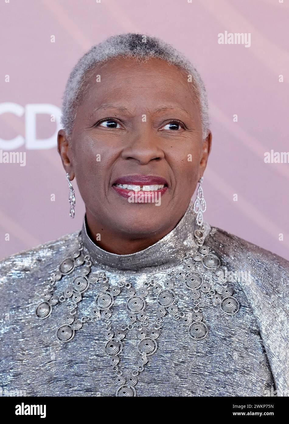 Costume designer Francine Jamison-Tanchuck poses at the 26th Costume ...