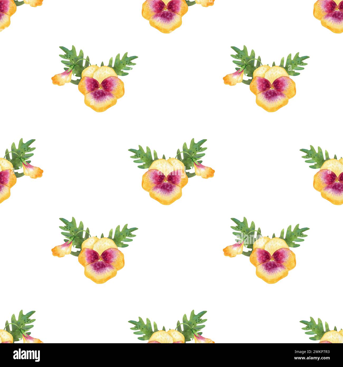 seamless pattern with wild flowers pansies are watercolor hand drawn illustrations Stock Photo