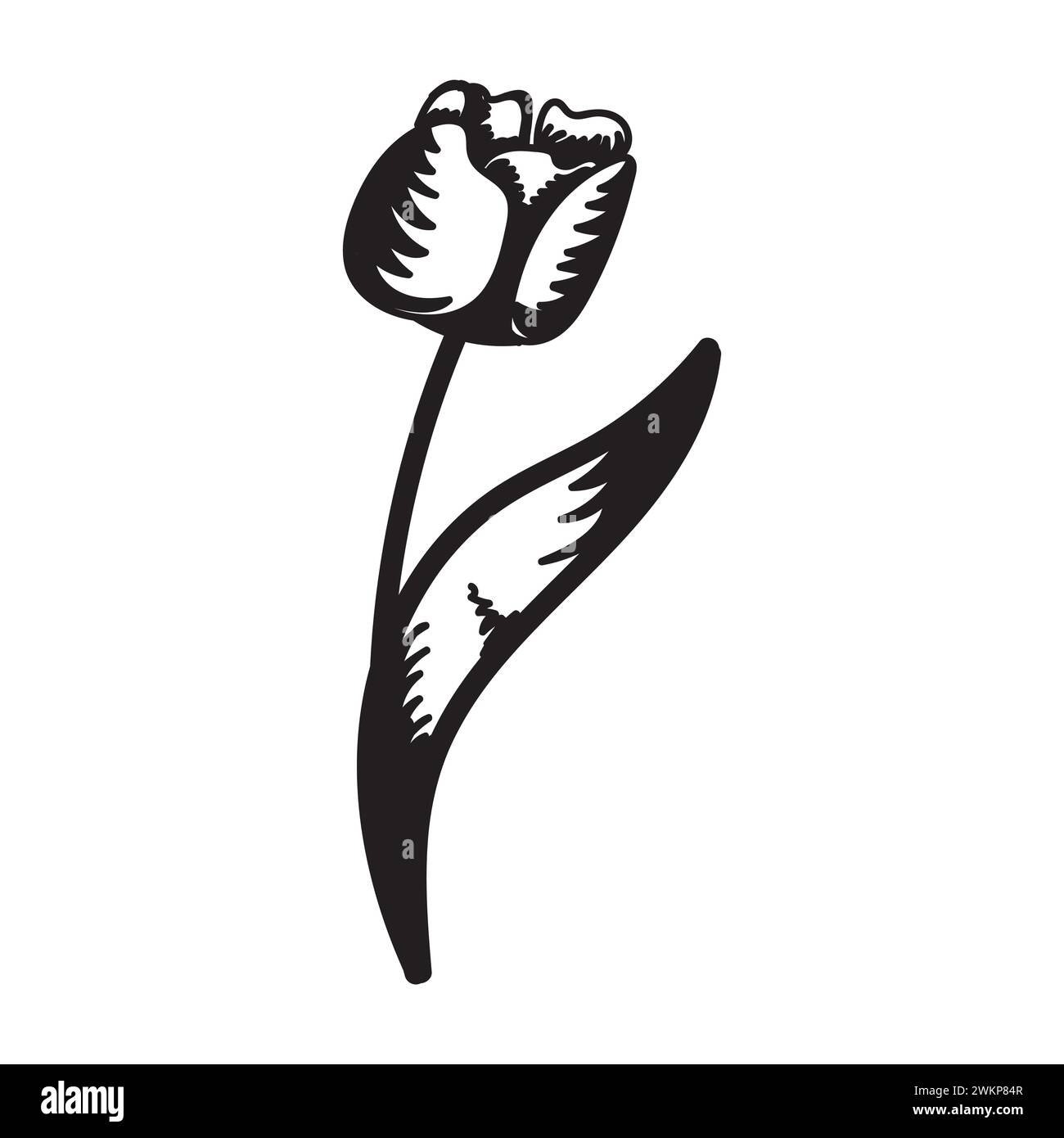 Tulip flower. Black and white silhouette of a tulip. A simple hand ...