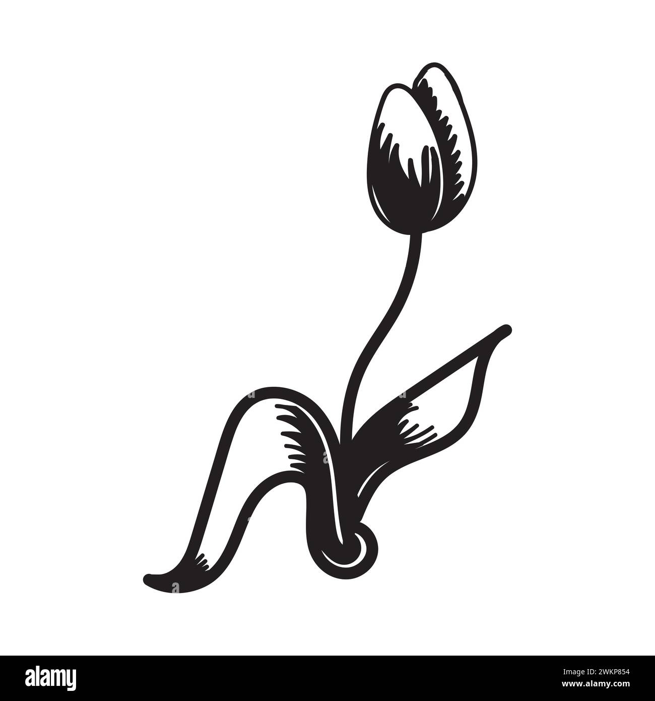 Tulip flower. Black and white silhouette of a tulip. A simple hand ...