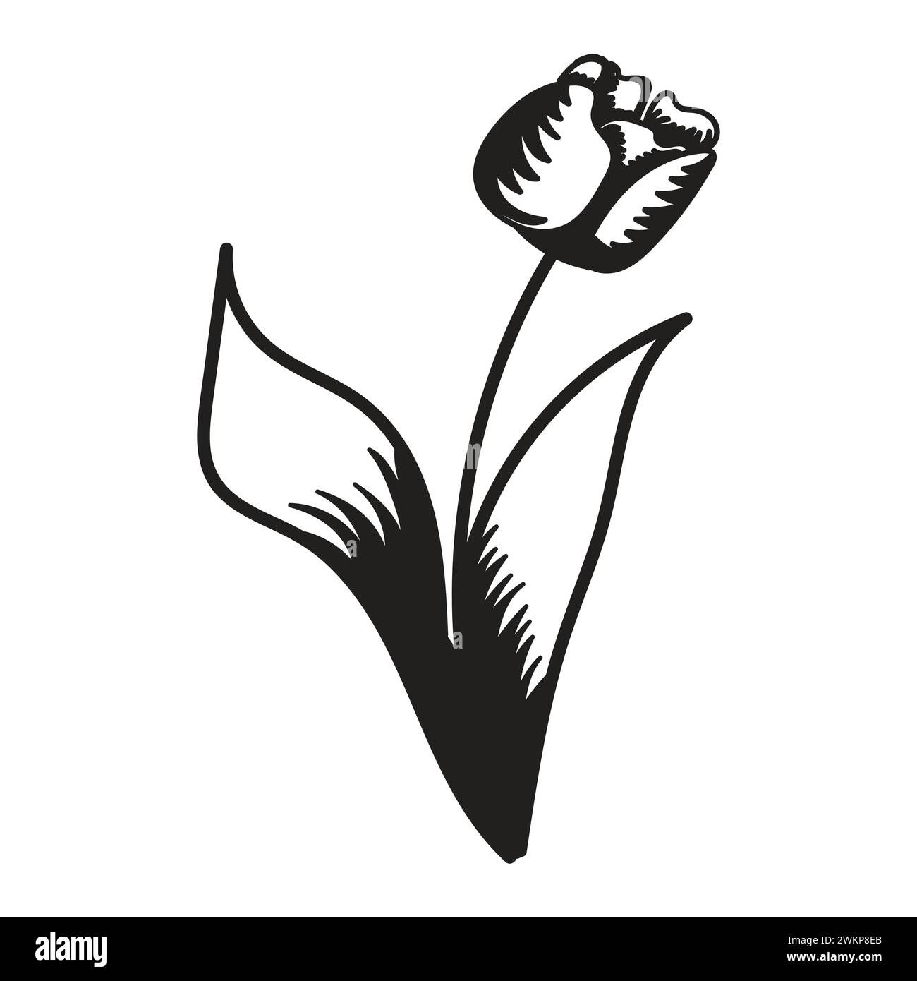 Tulip flower. Black and white silhouette of a tulip. A simple hand ...