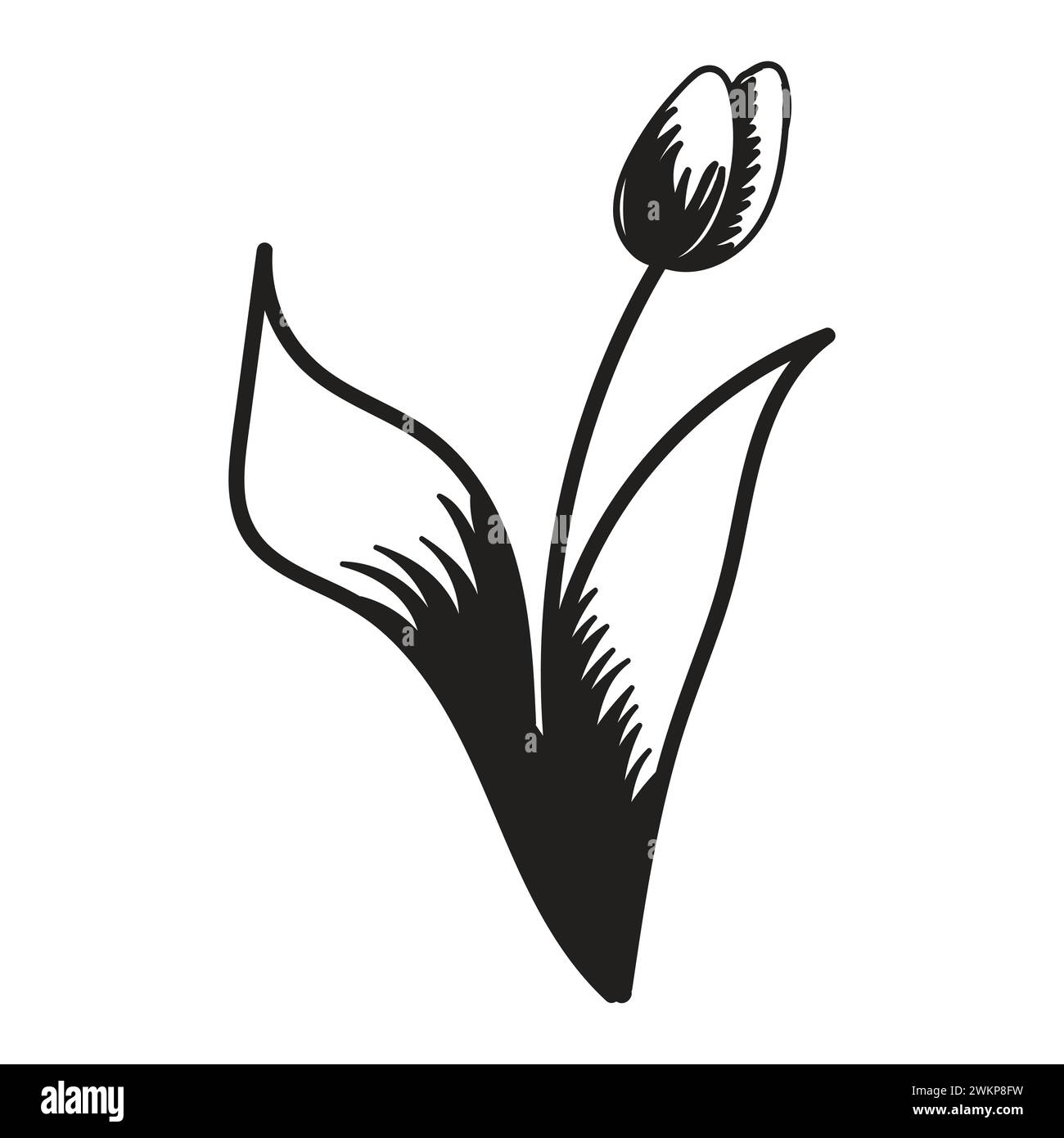 Tulip flower. Black and white silhouette of a tulip. A simple hand ...