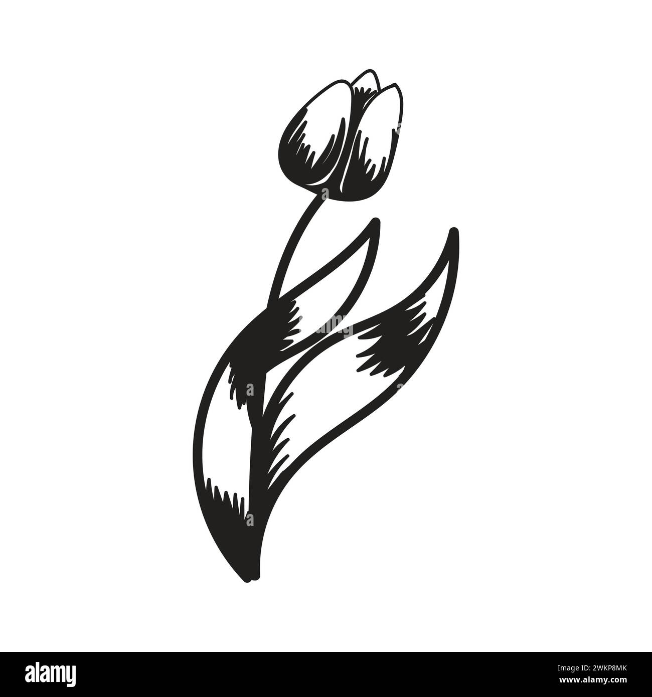 Tulip flower. Black and white silhouette of a tulip. A simple hand ...