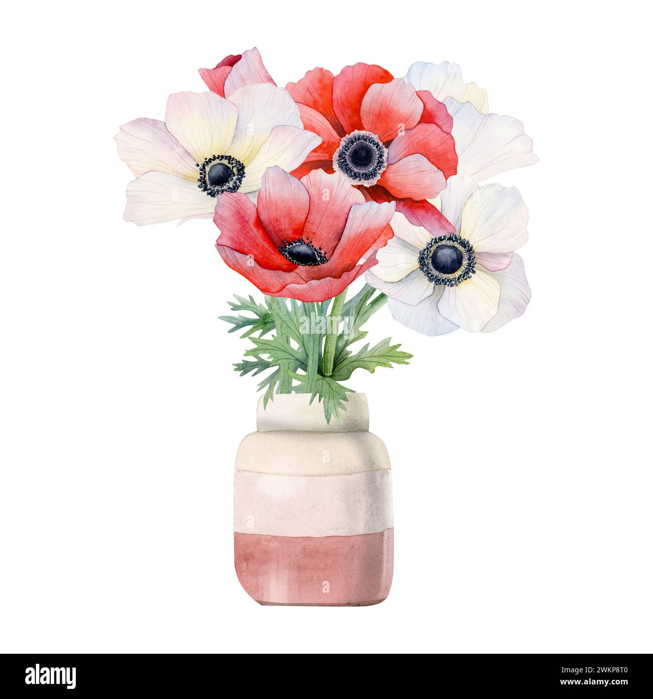 Anemones wildflowers bouquet of white and red field poppies in ceramic pale pink vase watercolor illustration Stock Photo