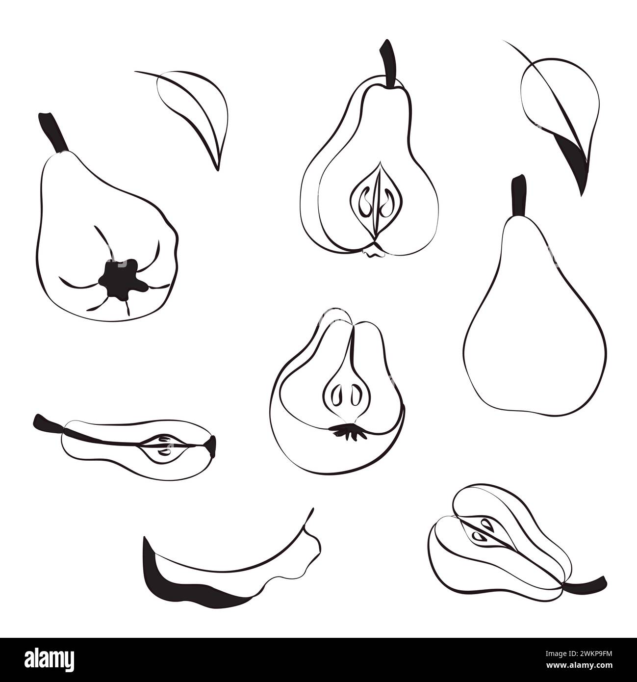 Set of pears in doodle style. Resume isolated illustration on white