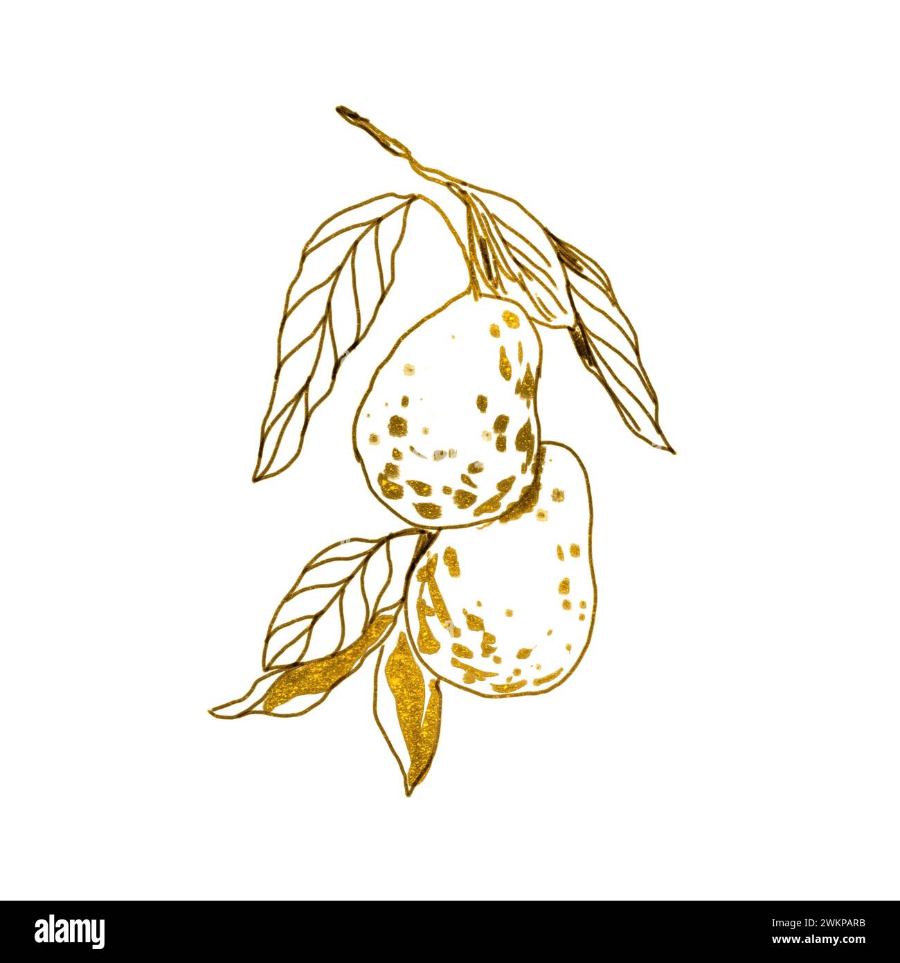 Avocado sprig, golden. Graphic illustration isolated on white background. Element for cards, wedding invitations, labels, covers, posters. Stock Photo