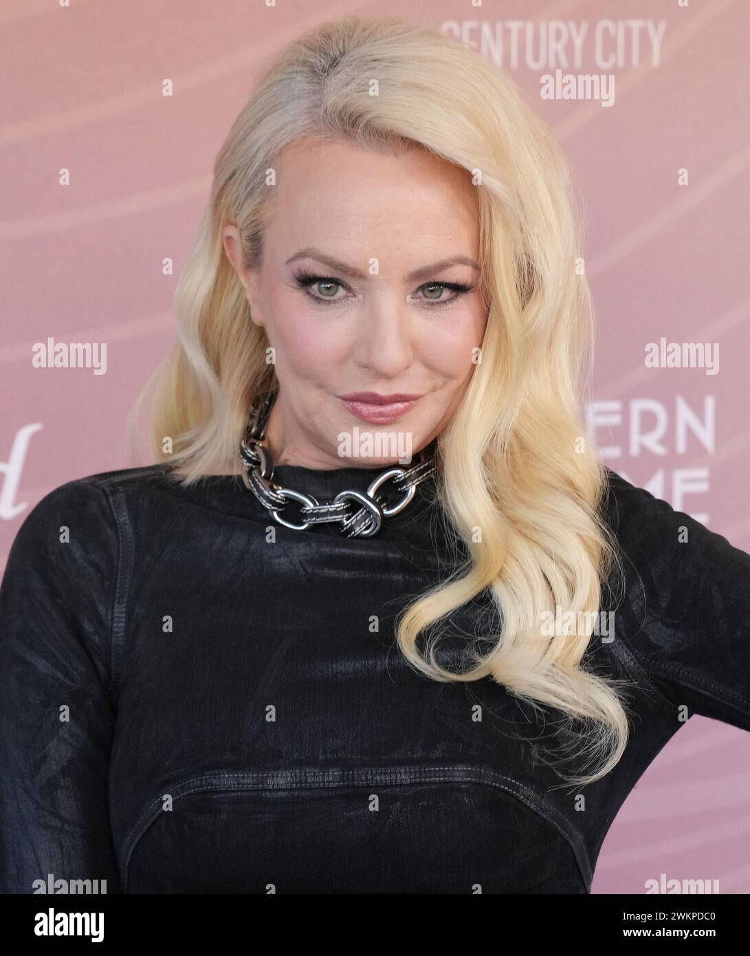 Los Angeles, USA. 21st Feb, 2024. Wendi McLendon-Covey arrives at the 26th Annual Costume Designers Guild Awards held at NeueHouse Hollywood in Hollywood, CA on Wednesday, ?February 21, 2024. (Photo By Sthanlee B. Mirador/Sipa USA) Credit: Sipa USA/Alamy Live News Stock Photo