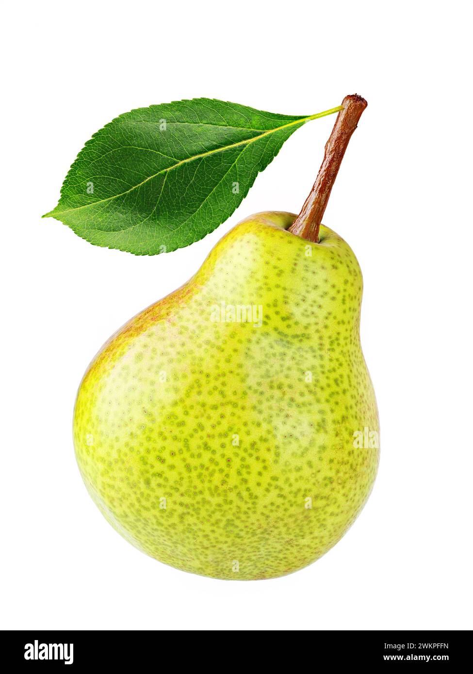 fresh, ripe pear on white with leaf background Stock Photo - Alamy
