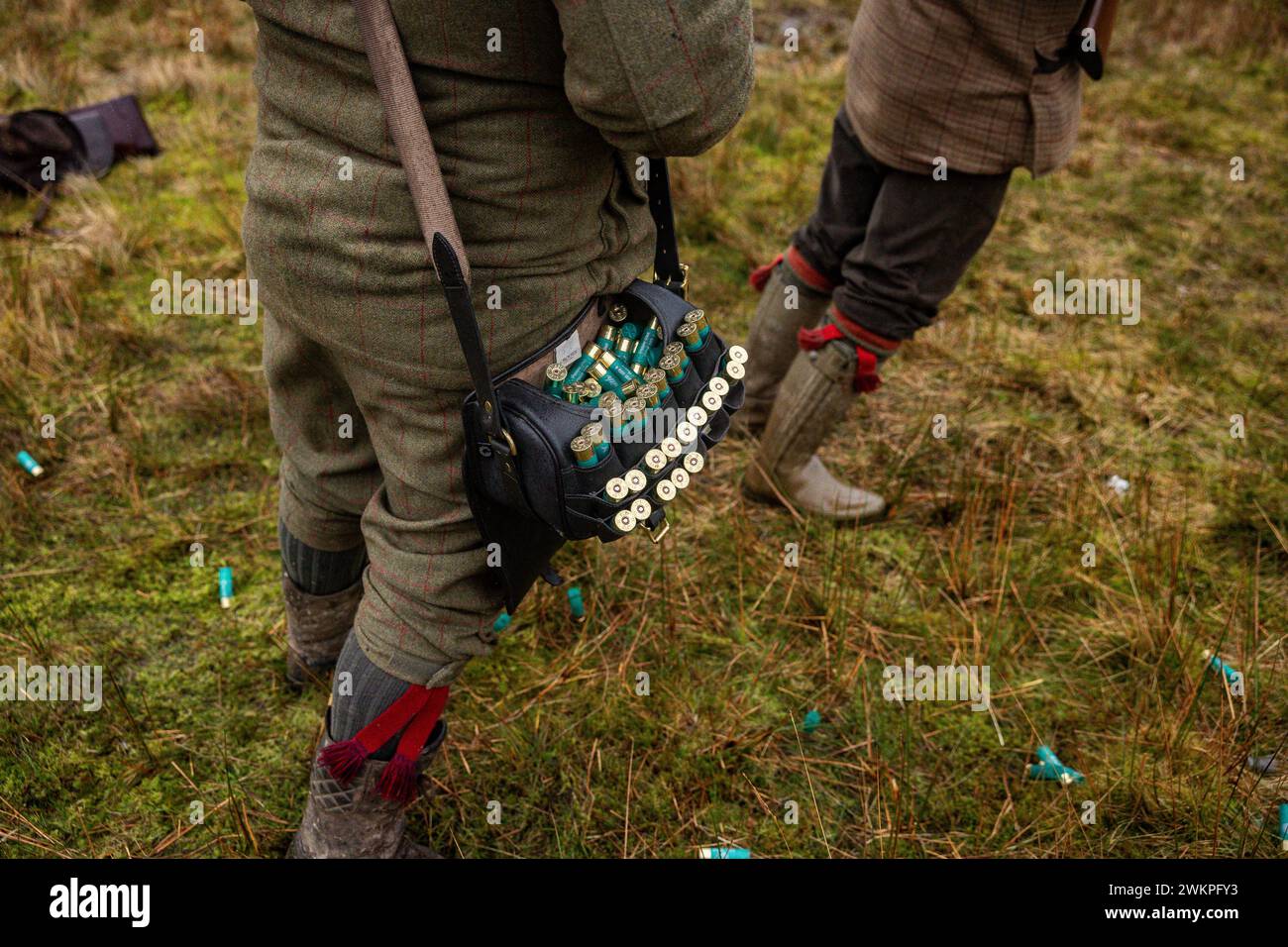 Shotgun shooting, field sports UK Stock Photo Alamy