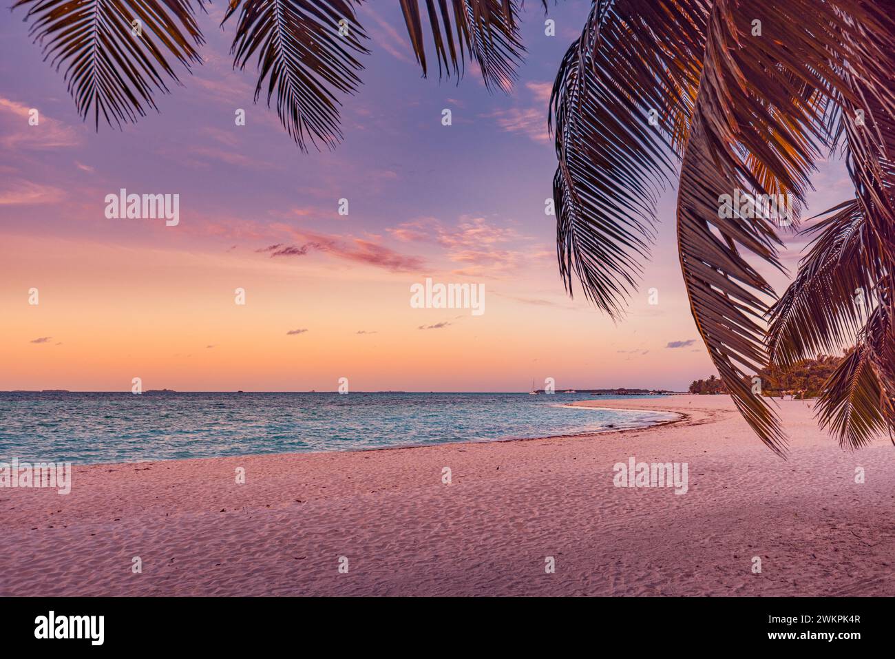 Paradise island palm trees sea sand beach. Panoramic beach travel landscape. Inspire tropical beach seascape horizon. Orange golden sunset sky calm Stock Photo