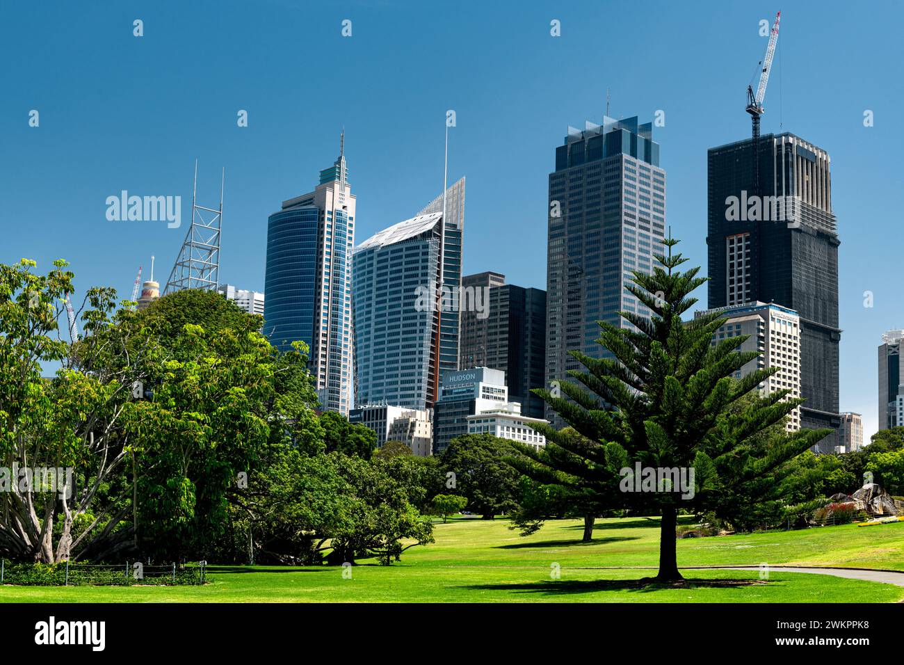 View on Sydney's CBD from Royal Botanic Garden. Stock Photo