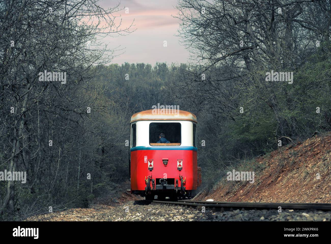 Old train coach rear view, railway in a forest Stock Photo