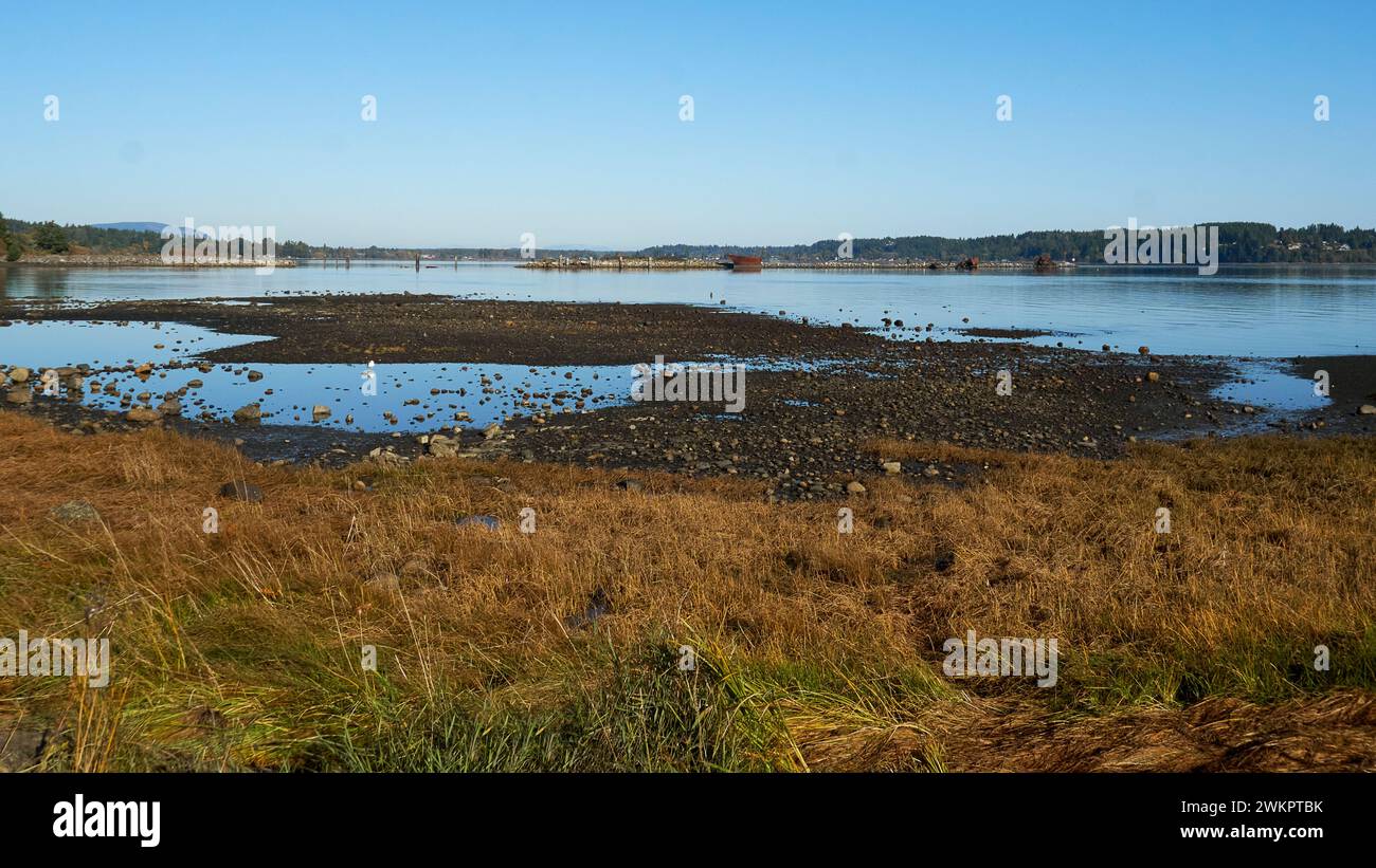 Low tide with a dried grasses and a gravel beach looking towards the blue ocean and a distant river estuary. Stock Photo