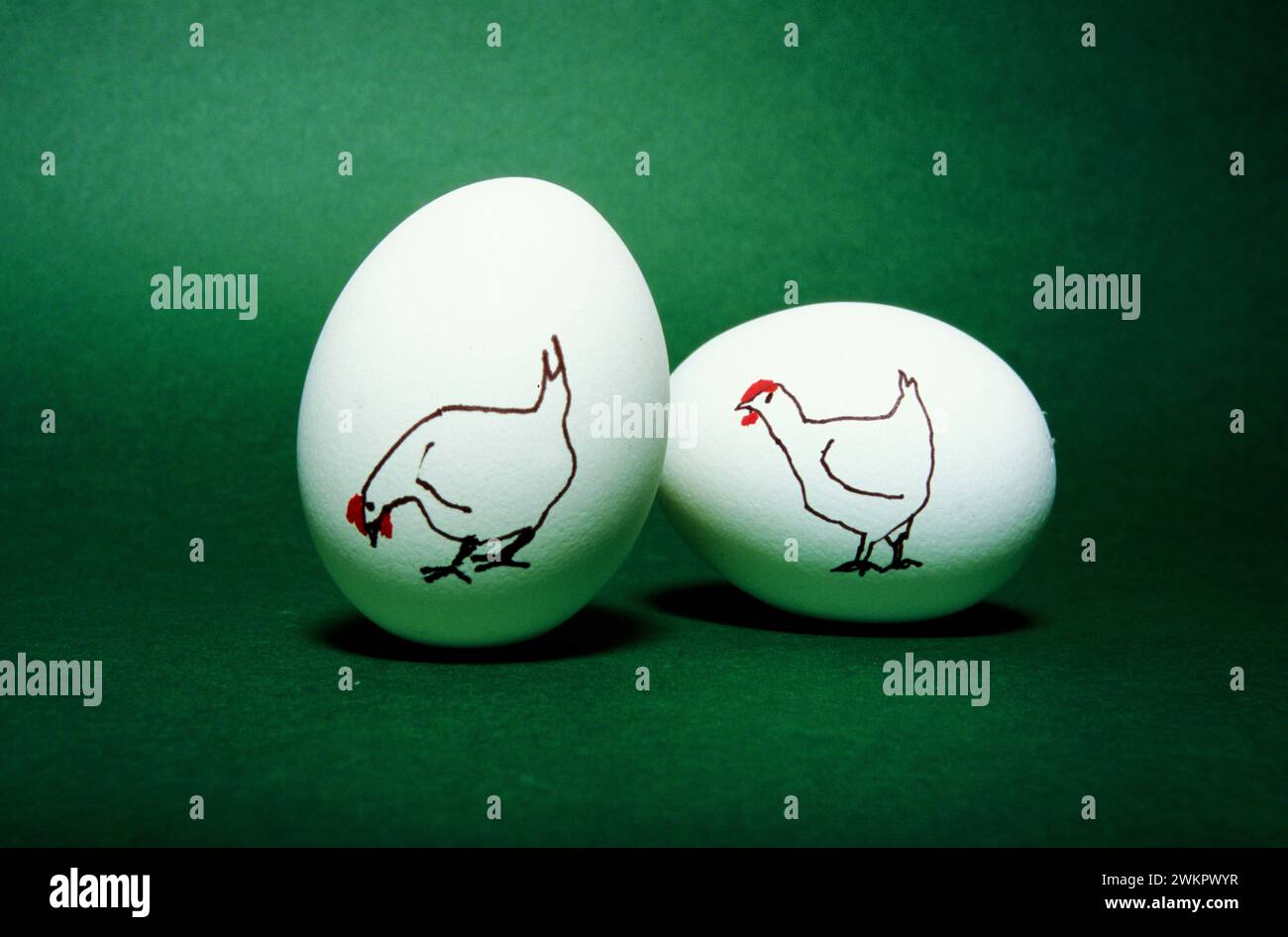 two hen eggs with cartoon on green background Stock Photo