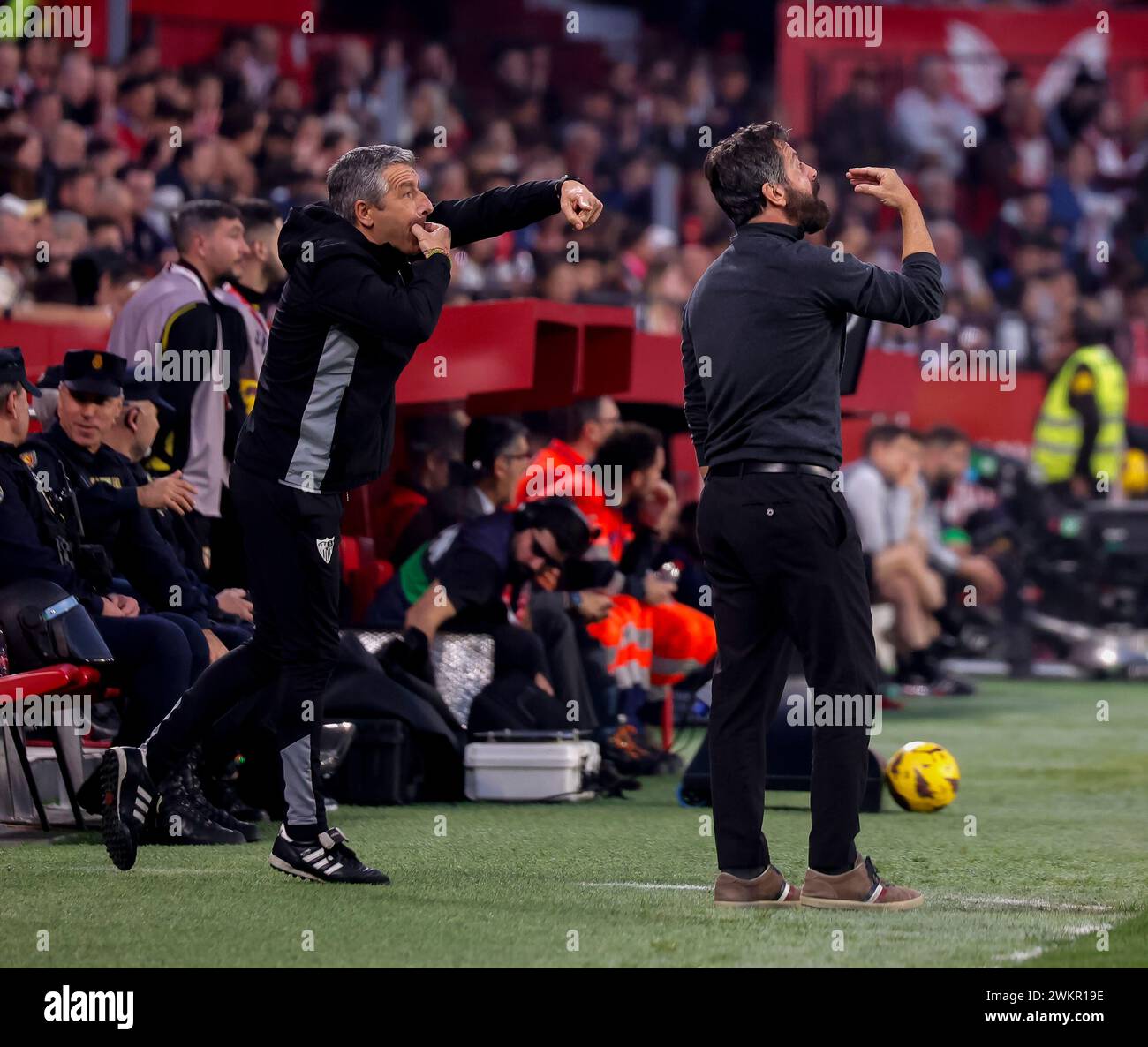 Seville, 01/28/2024. Matchday 22. League match played at the Ramón Sánchez-Pizjuan stadium between Sevilla FC and Osasuna, with the result being a 1-1 draw. In the image, Quique Sánchez Flores gives instructions. Photo: Manuel Gómez. ARCHSEV. Credit: Album / Archivo ABC / Manuel Gómez Stock Photo