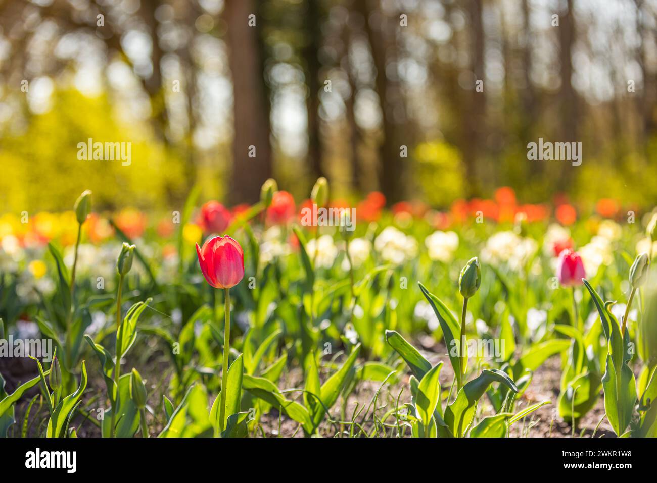 Romance card hi-res stock photography and images - Alamy