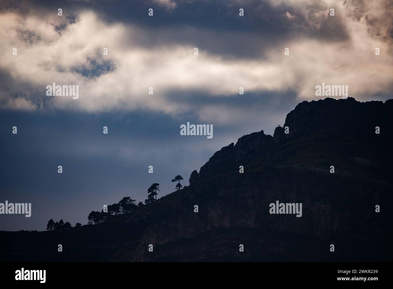 Pines silhouetted under iridescent clouds in Xeraco Stock Photo